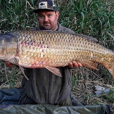 R U Ready Fishing, River Ebro 메키넨사 외부 사진