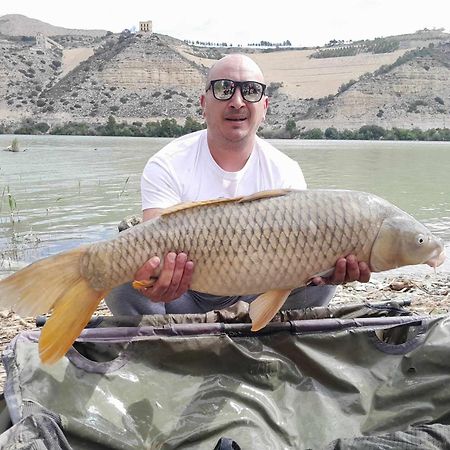 R U Ready Fishing, River Ebro 메키넨사 외부 사진
