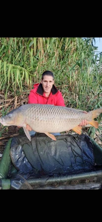 R U Ready Fishing, River Ebro 메키넨사 외부 사진