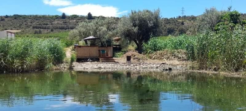 R U Ready Fishing, River Ebro 메키넨사 외부 사진