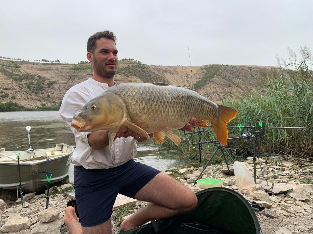 R U Ready Fishing, River Ebro 메키넨사 외부 사진