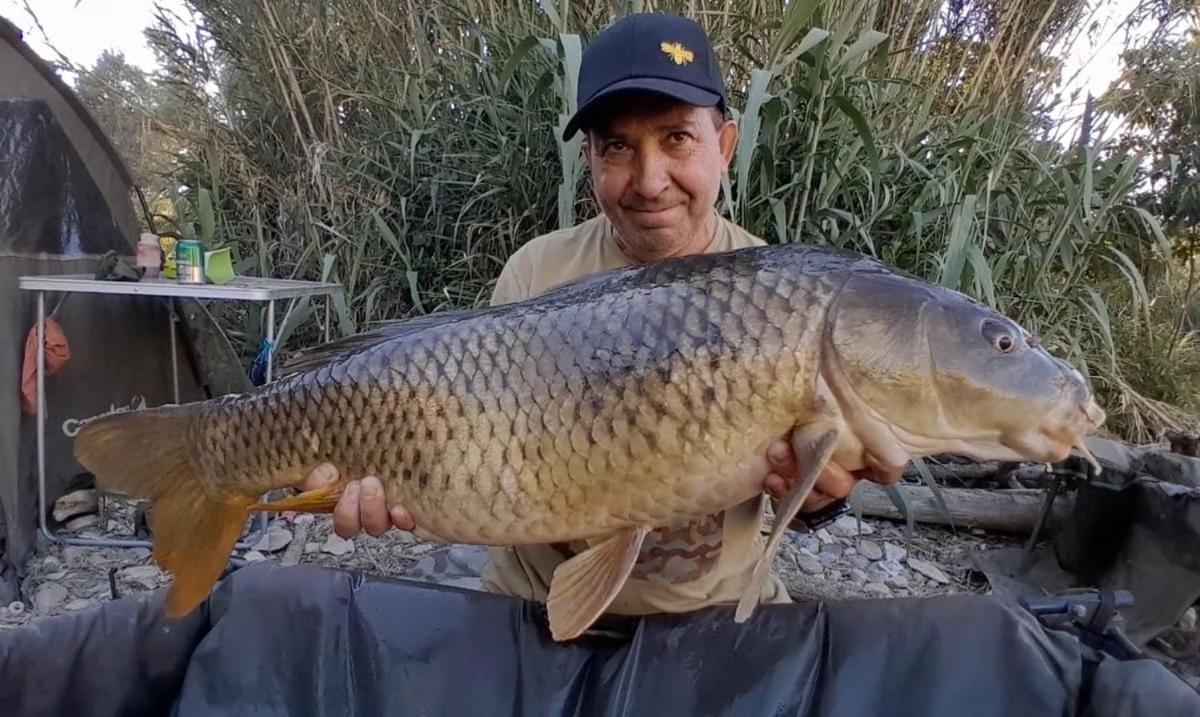 R U Ready Fishing, River Ebro 메키넨사 외부 사진